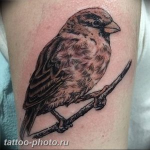 рисунка тату воробей 03.12.2018 №010 - photo tattoo sparrow - tattoo-photo.ru